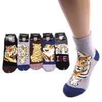 Набор мужских махровых носков 41-47 по обуви (23866)