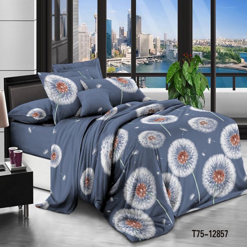 Бюджетное постельное белье Ваш сон полуторное Бязь (31387)