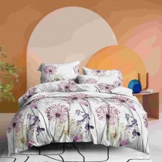 Бюджетное постельное белье Ваш сон евро размер Бязь (32182)