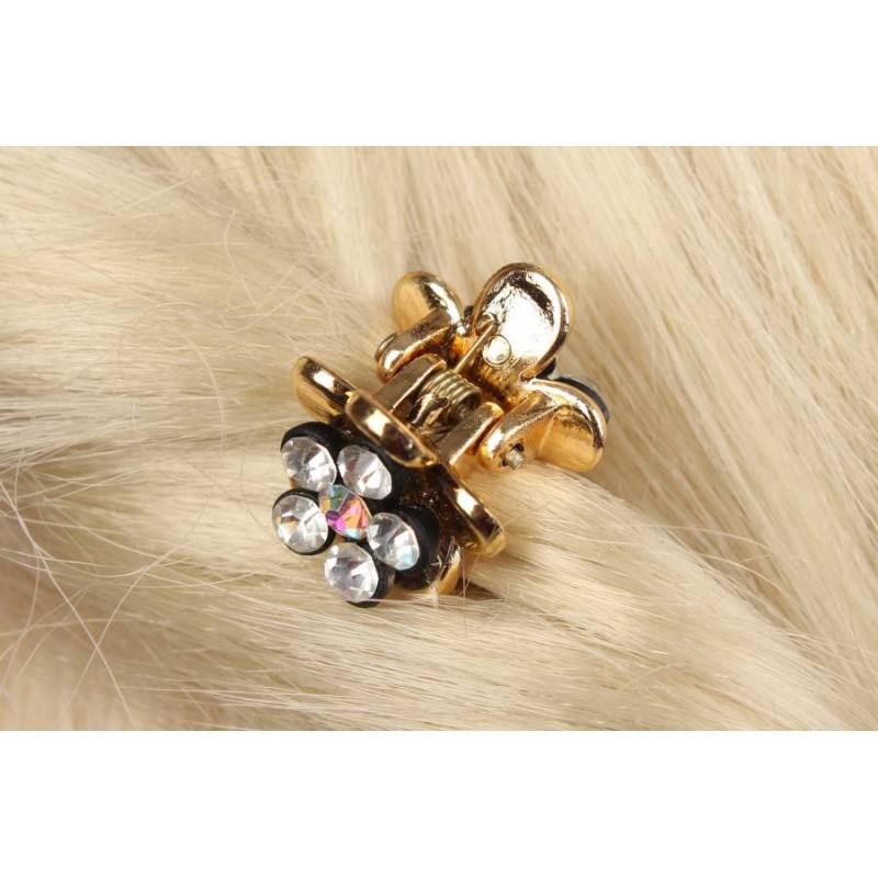 Краб маленький