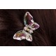 Краб бабочка 1-85754