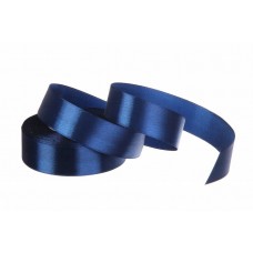 Ленточка атлас 25мм-23м(120) 58-1619