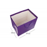 Пакет картонный горизонтальный (31*37*26см) 210г/м² 31-4743