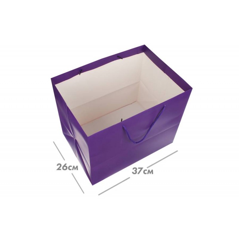 Пакет картонный горизонтальный (31*37*26см) 210г/м² 31-4743