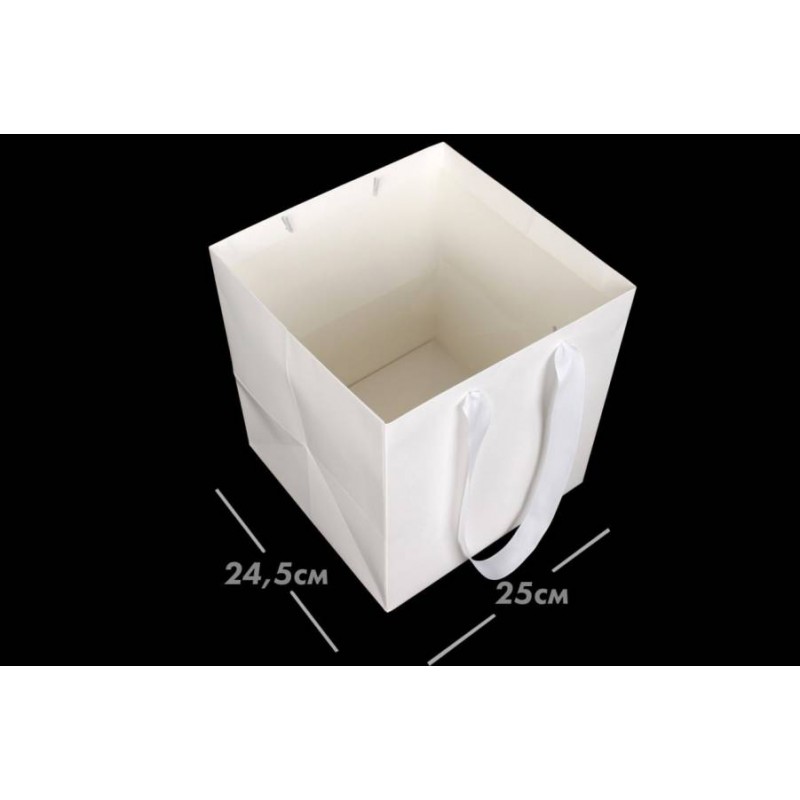 Пакет картонний вертикальний белый (24,5*25*28см) 210гр/м² 255-9032