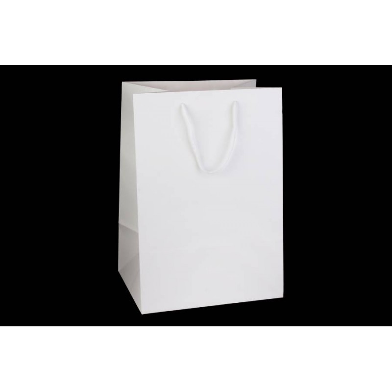 Пакет картонный вертикальный (26*38*21см) 210г/м² 31-4590