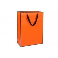 Пакет картонный вертикальный (30*12*40см) 210г/м² 3123-4452