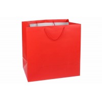 Пакет картонный вертикальный (51*51*26см) 210г/м² 31-7089