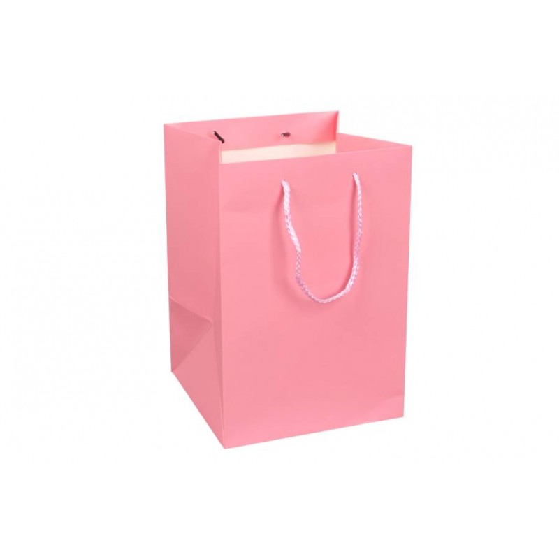 Пакет картонный вертикальный (17,5*25,5*17см) 210г/м² 31-4538