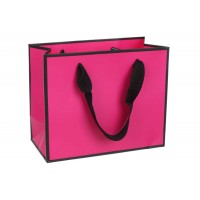 Пакет картонный горизонтальный (23*10*18см) 210г/м² 3123-3967