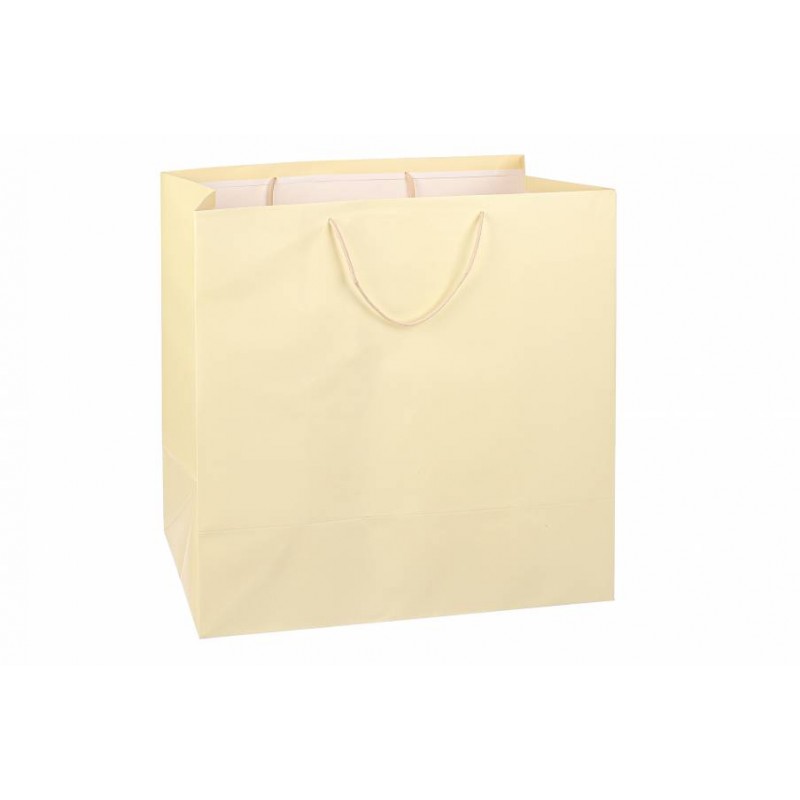 Пакет картонный вертикальный (51*51*26см) 210г/м² 31-7102