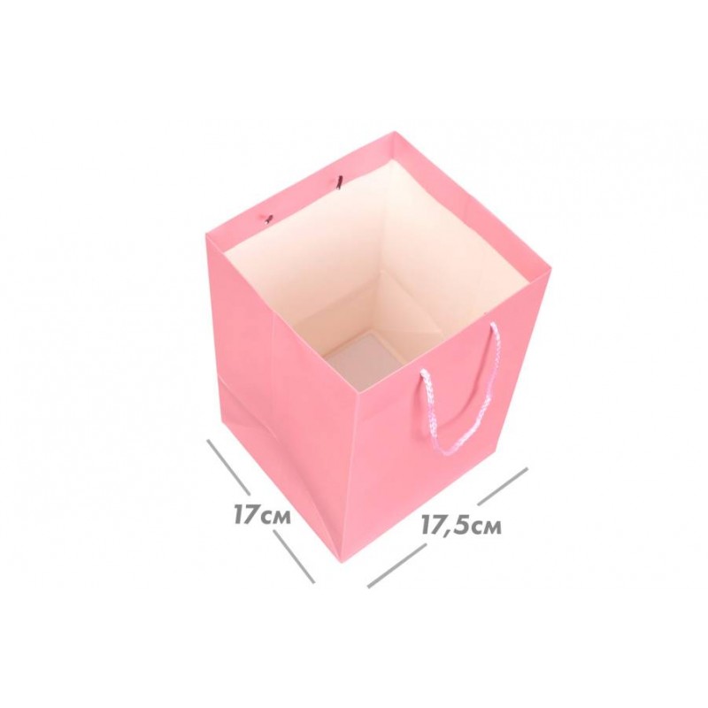 Пакет картонный вертикальный (17,5*25,5*17см) 210г/м² 31-4538