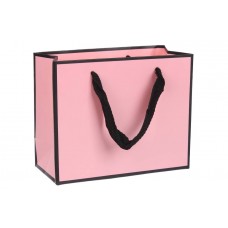 Пакет картонный горизонтальный (16*7*13см) 210г/м² 3123-3684