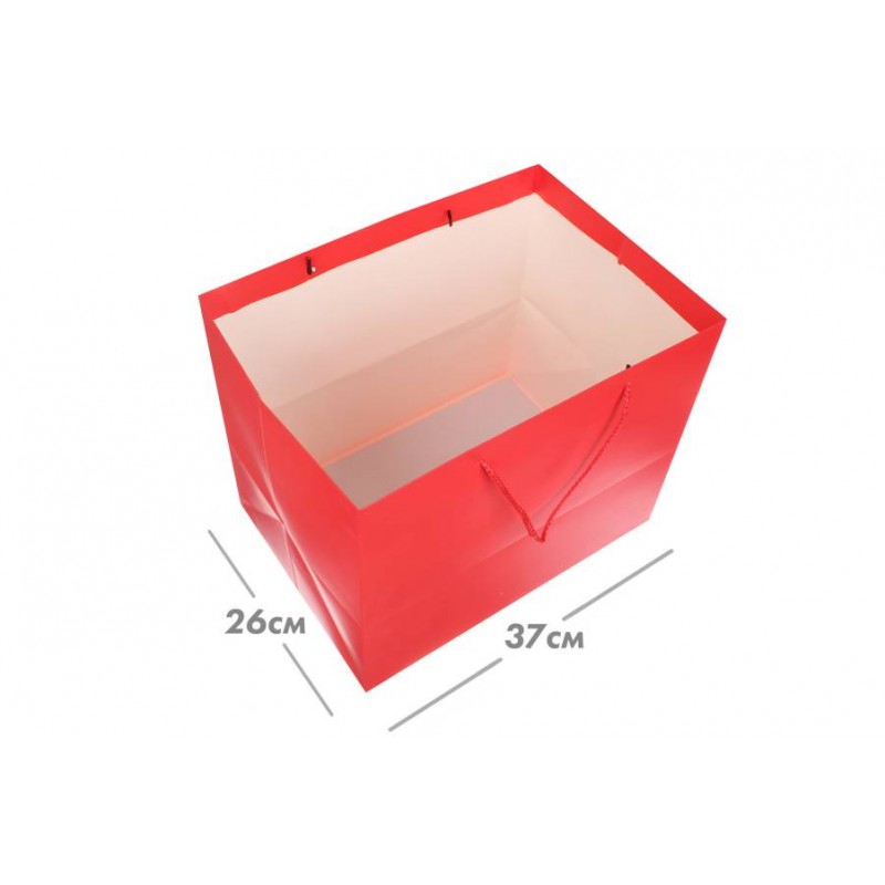 Пакет картонный горизонтальный (31*37*26см) 210г/м² 31-4668