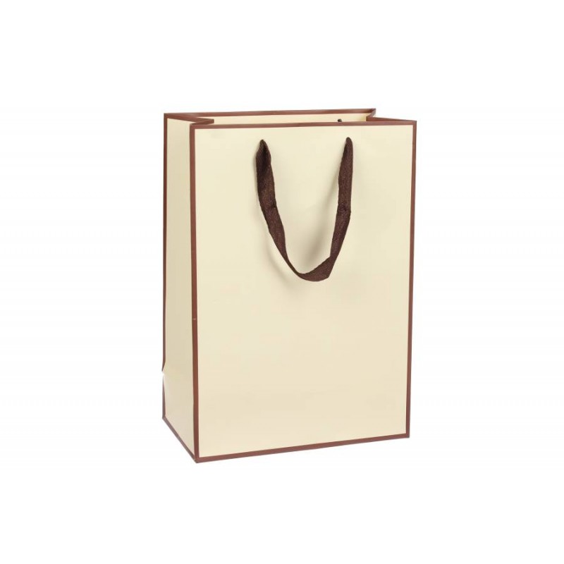 Пакет картонный вертикальный (15*6*20см) 210г/м² 3123-4537