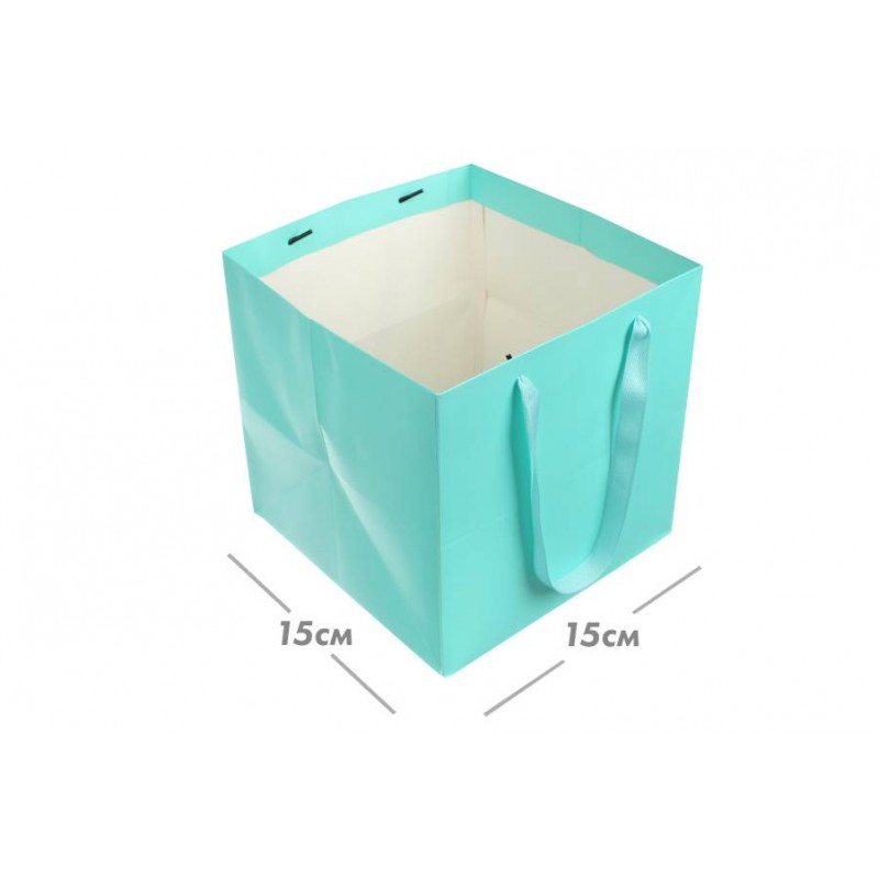 Пакет картонный (15*15*15см) минт 3123-8917