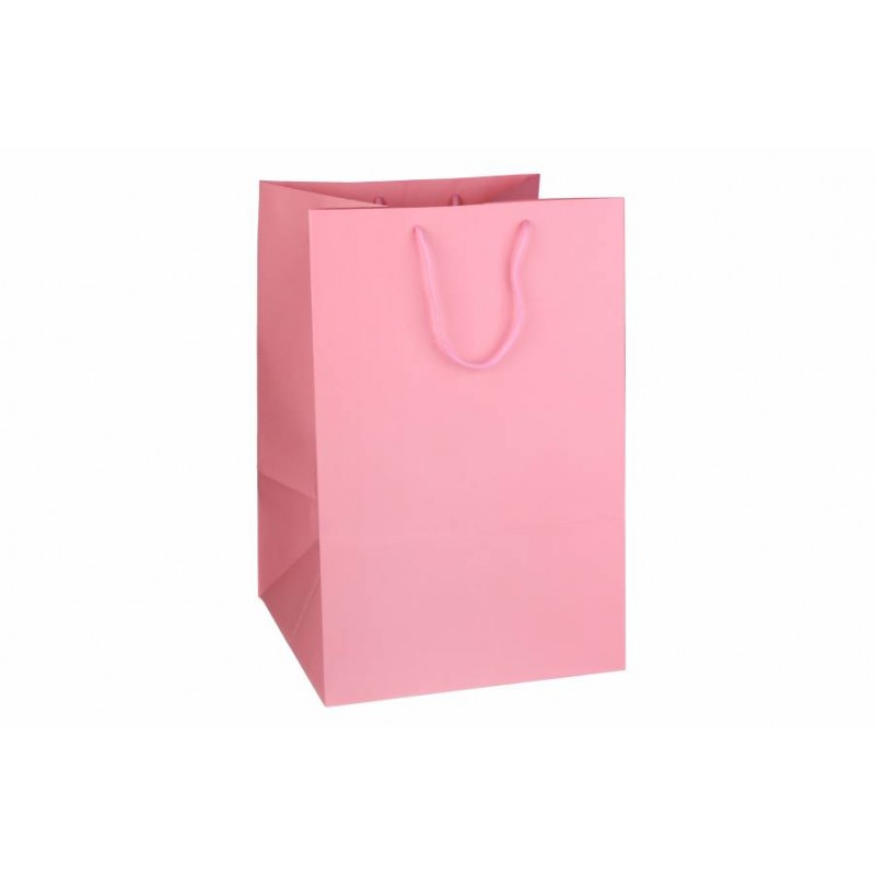 Пакет картонный вертикальный (28*42*28см) 210г/м² 31-4866