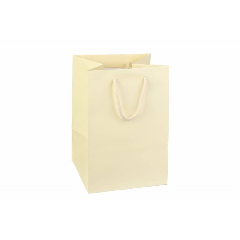 Пакет картонный вертикальный (17,5*25,5*17см) 210г/м² 31-4477