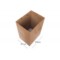 Пакет картонный вертикальный (26*38*21см) 210г/м² 31-7058