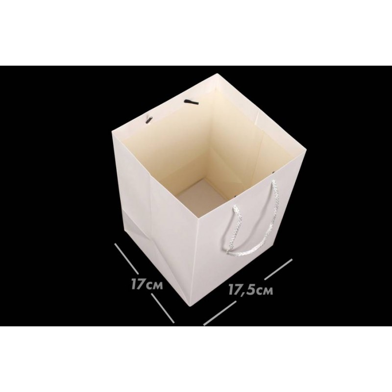 Пакет картонный вертикальный (17,5*25,5*17см) 210г/м² 31-4484