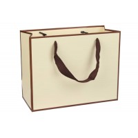 Пакет картонный горизонтальный (23*10*18см) 210г/м² 3123-4018