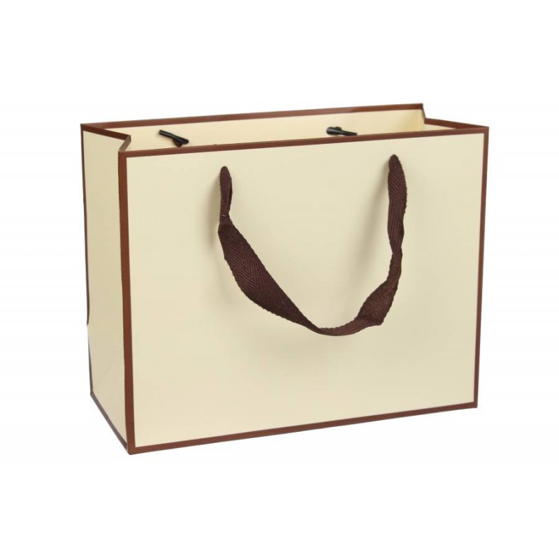 Пакет картонный горизонтальный (23*10*18см) 210г/м² 3123-4018