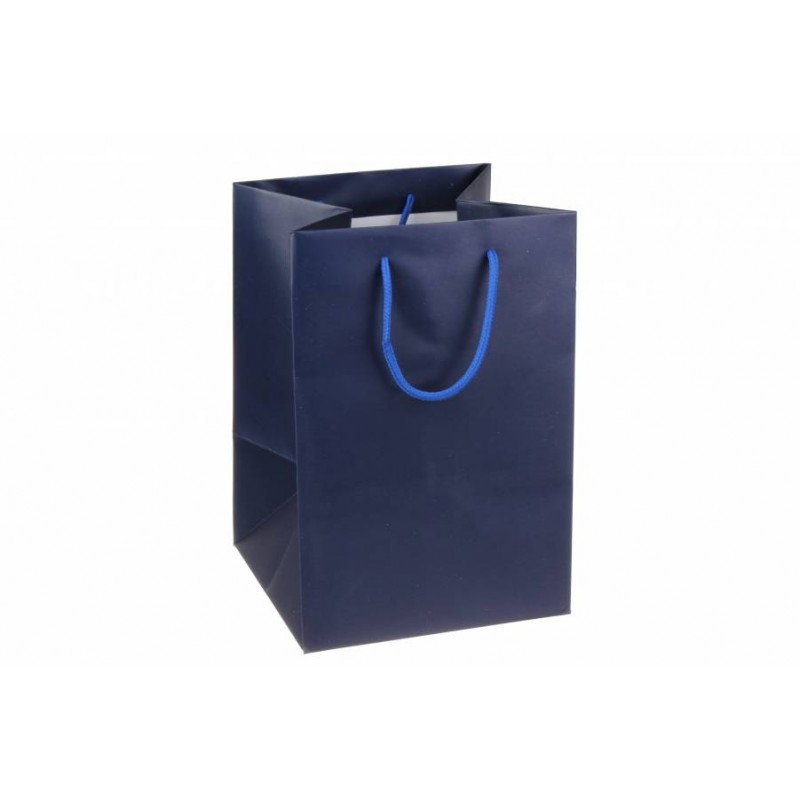 Пакет картонный вертикальный (17,5*25,5*17см) 210г/м² 31-4460