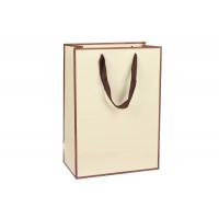 Пакет картонный вертикальный (20*9,5*28см) 210г/м² 3123-4544