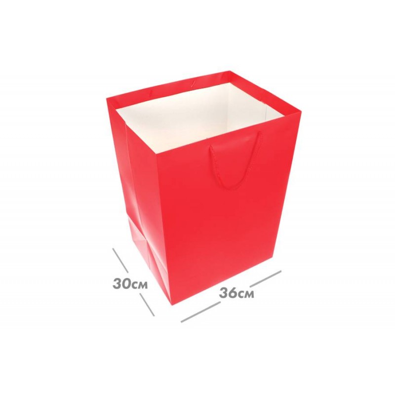 Пакет картонный вертикальный (36*54*30см) 210г/м² 31-4880