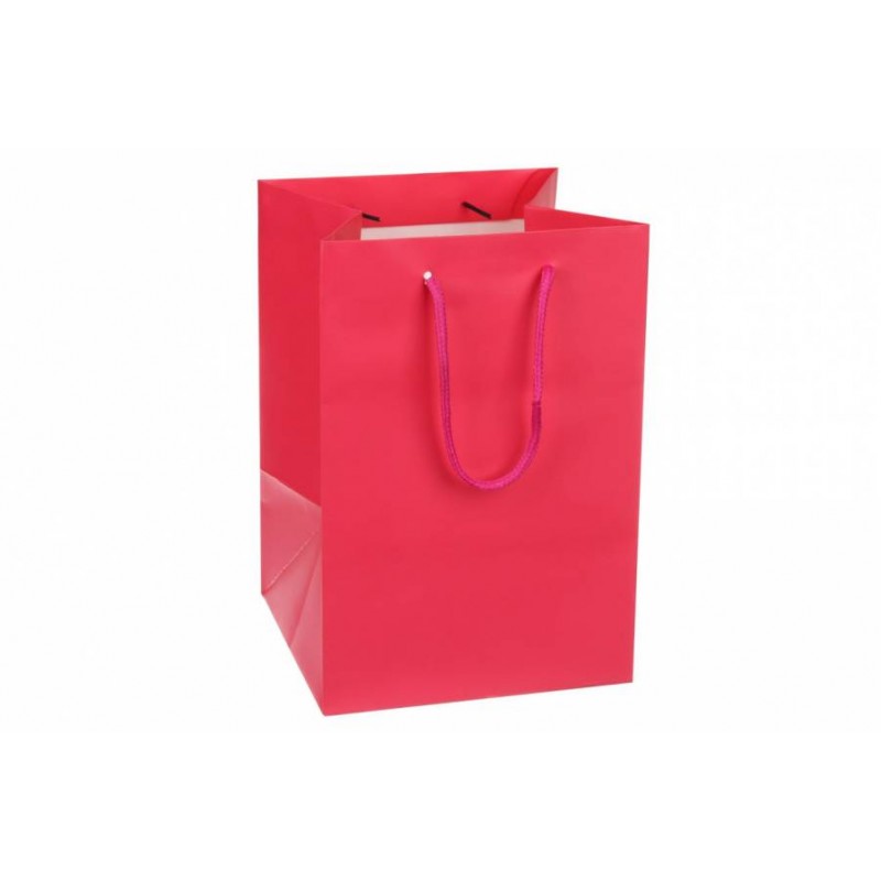 Пакет картонный вертикальный (17,5*25,5*17см) 210г/м² 31-4446