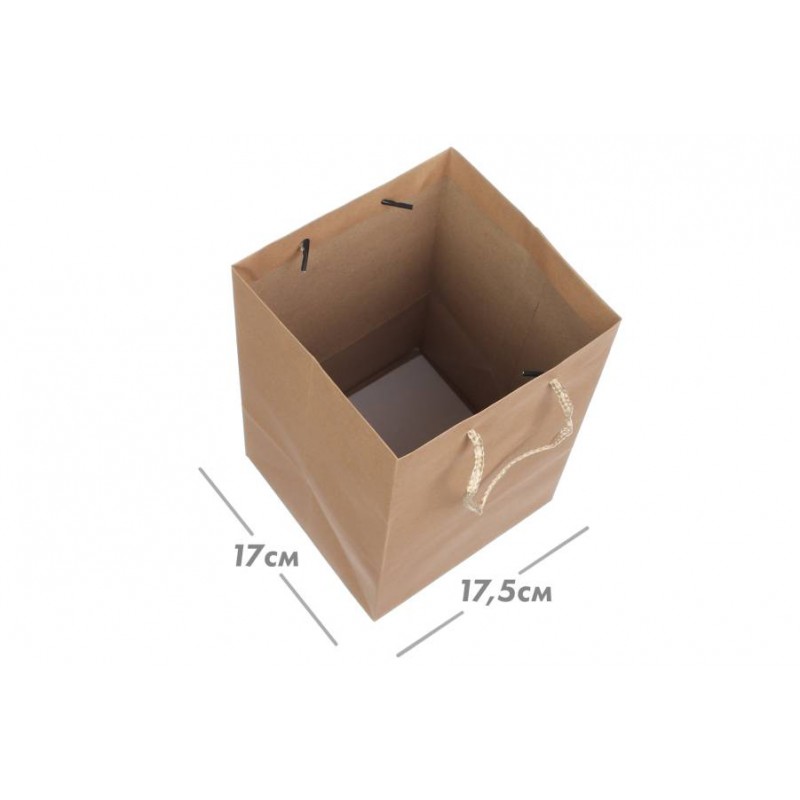 Пакет картонный вертикальный (17,5*25,5*17см) 210г/м² 31-4439