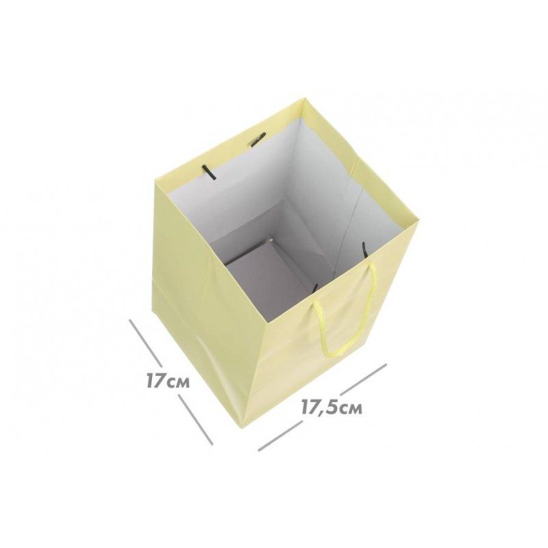 Пакет картонный вертикальный (17,5*25,5*17см) 210г/м² 31-4477