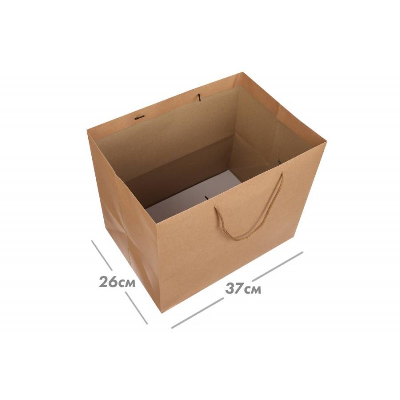 Пакет картонный горизонтальный (31*37*26см) 210г/м² 31-4651