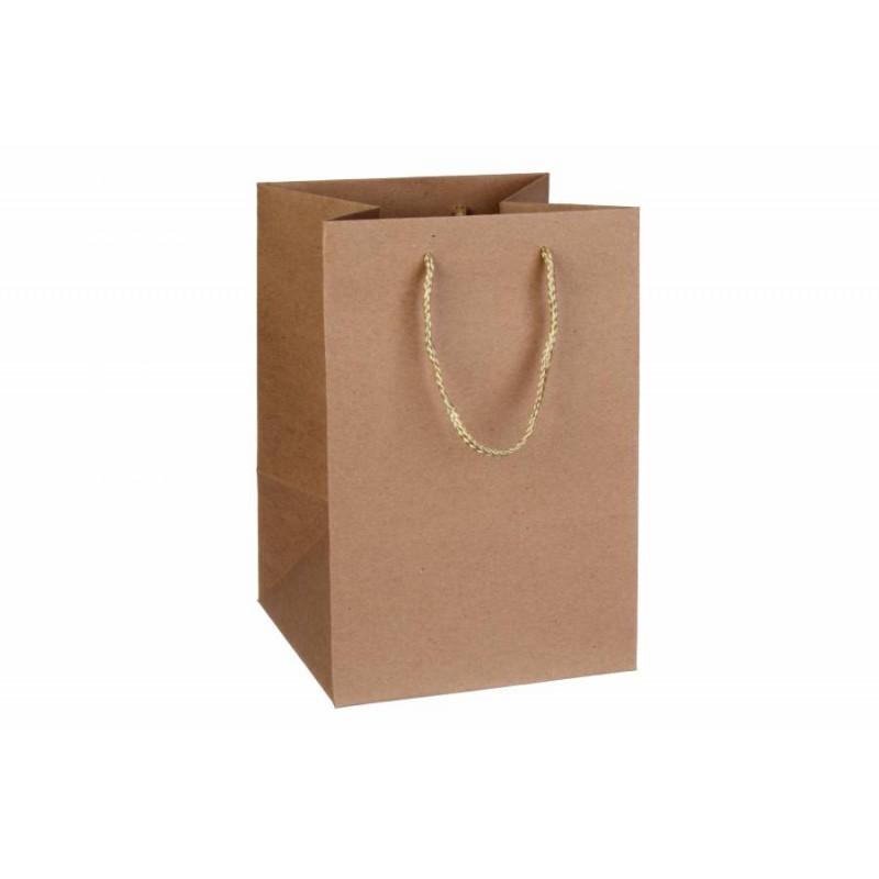 Пакет картонный вертикальный (17,5*25,5*17см) 210г/м² 31-4439