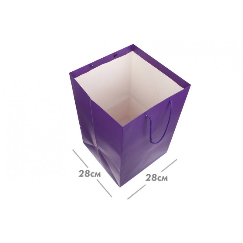 Пакет картонный вертикальный (28*42*28см) 210г/м² 31-4859