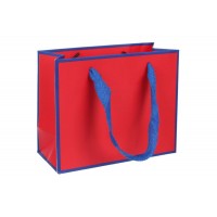 Пакет картонный горизонтальный (16*7*13см) 210г/м² 3123-3844