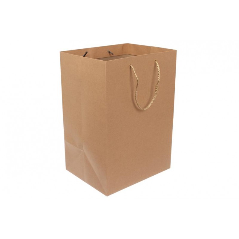 Пакет картонный вертикальный (26*38*21см) 210г/м² 31-7058