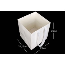 Пакет картонний вертикальний белый (24,5*25*28см) 210гр/м² 255-9032