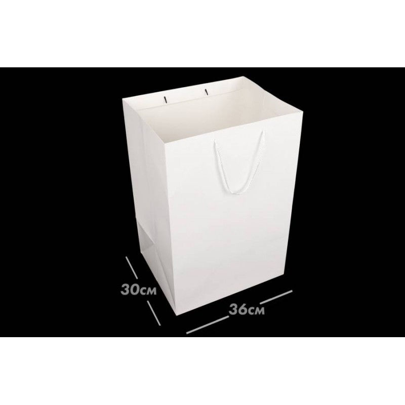 Пакет картонный вертикальный (36*54*30см) 210г/м² 31-4927