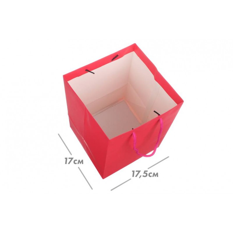 Пакет картонный вертикальный (17,5*25,5*17см) 210г/м² 31-4446