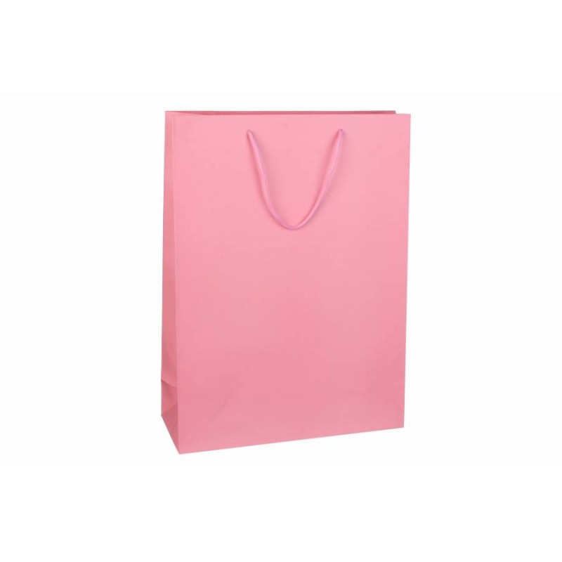 Пакет картонный вертикальный (31*42*12см) 210г/м² 31-4316