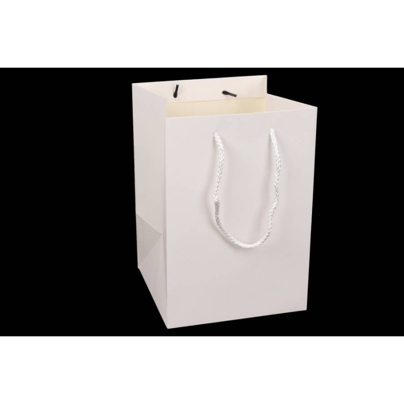 Пакет картонный вертикальный (17,5*25,5*17см) 210г/м² 31-4484