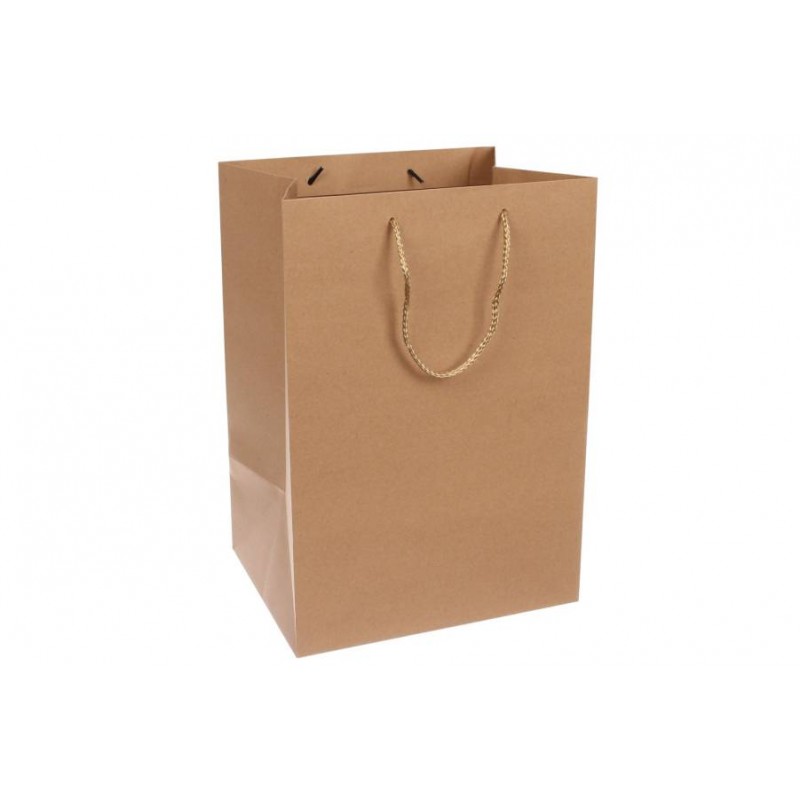 Пакет картонный вертикальный (26*38*21см) 210г/м² 31-7058