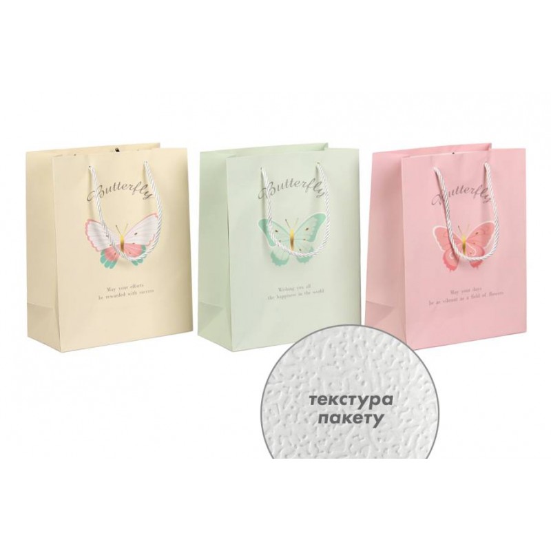 Подарочный пакет (24,5*19,5*9,5см) 3123-11139