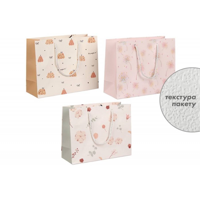 Подарочный пакет (24,5*19,5*9,5см) 3123-11184