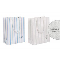 Подарочный пакет (24,5*19,5*9,5см) 3123-10804