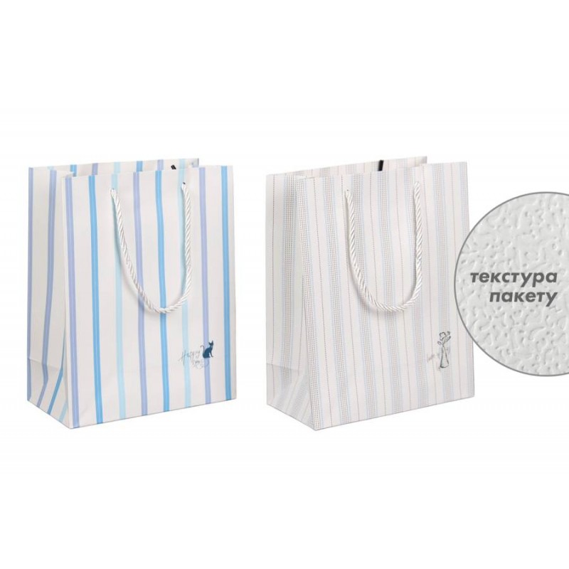 Подарочный пакет (24,5*19,5*9,5см) 3123-10804