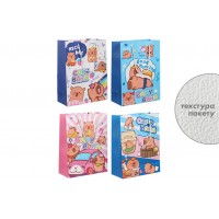 Подарочный пакет (33*25*11,5см) 3123-10989