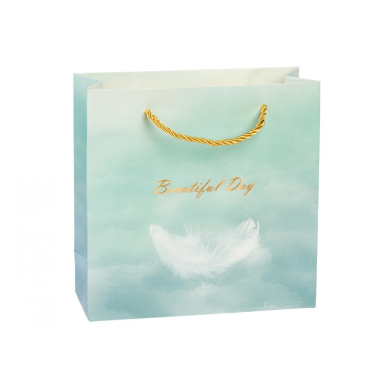 Подарочный пакет (20*8*20см) 3123-13201