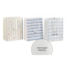 Подарочный пакет (24,5*19,5*9,5см) 3123-10767